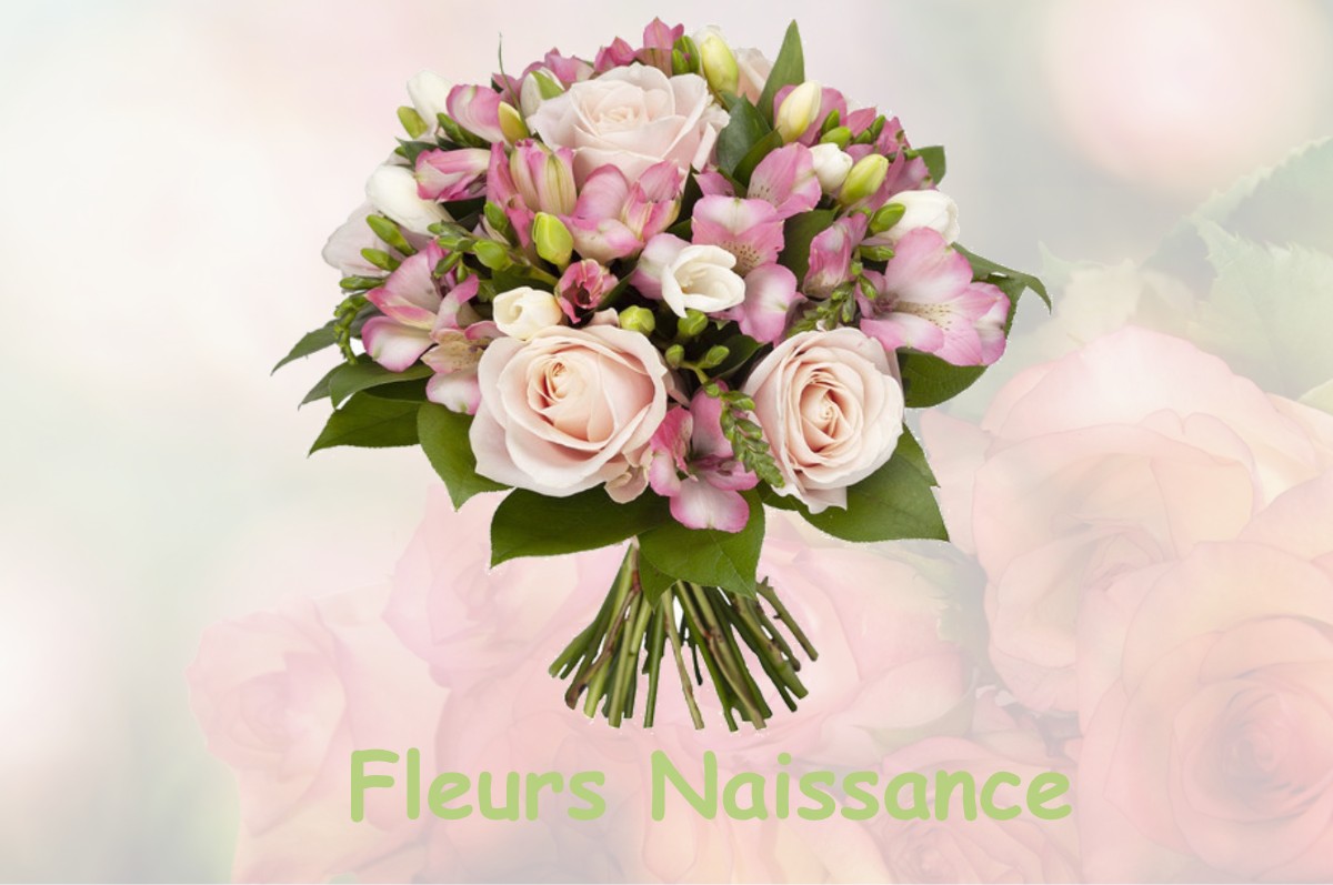 fleurs naissance SAINT-ETIENNE-DE-CROSSEY