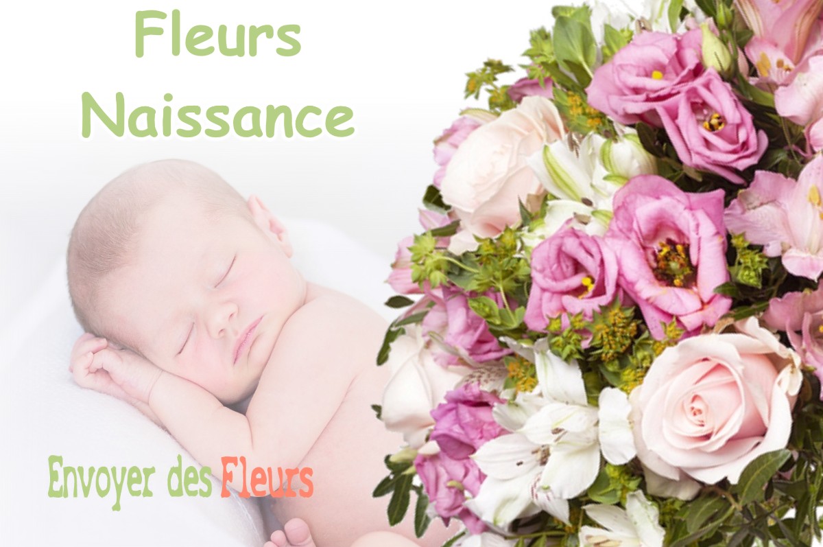 lIVRAISON FLEURS NAISSANCE à SAINT-ETIENNE-DE-CROSSEY